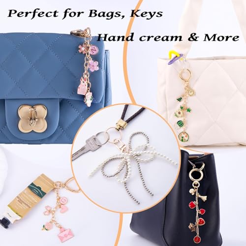 325Pcs Keychain Making Kit, Including 20 Keychain Clips 25 Extender Chain 118 Charms Jewelry Plier, Bag Charm Kit, Keychains Making Supplies for DIY Crafting