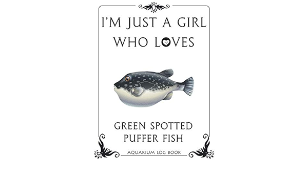 spotted puffer fish care