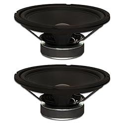 Goldwood Sound, Inc. Stage Subwoofer, Rubber