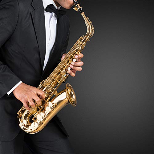 DaveandAthena 10 Pieces Alto Saxophone Reeds Clarinet Reeds Strength 2.5 with Plastic Box, 2-1/2 Reed Bamboo for Traditional bB Clarinet Accessories