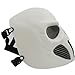 FAMI Airsoft Mask,Full Face Tactical Mask,Punisher Skull Skeleton Face Mask, Airsoft Paintball Protective Mask Gear for Airsoft Outdoor Cs War Game Live Field Scary Ghost BB Gun Halloween (White)