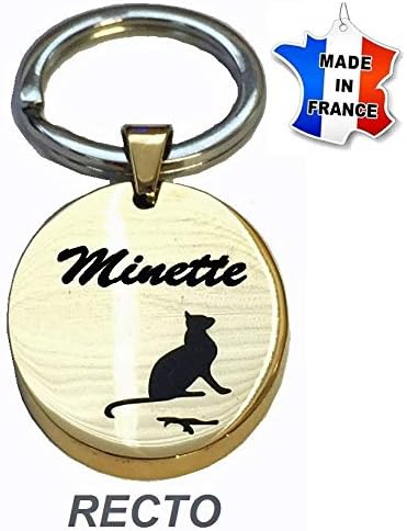 Medaille Chat Gravure Offerte Doree Produit Francais Amazon Fr Animalerie