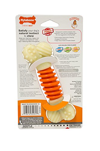 Nylabone Dental Chew Medium Bacon flavored Pro Action Bone Dog Chew Toy