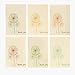48 Pack Vintage Dandelion Thank You Note Cards Design Bulk Box Set Envelopes Included (4 x 6 inches)
