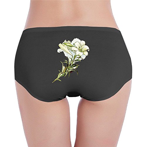 Ant In Lily Flower Seamless Women Underwear Black Large