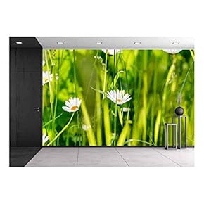 Summer Meadow - Removable Wall Mural | Self-Adhesive Large Wallpaper - 66x96 inches