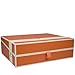 Semikolon Letter/A4 Size Document Storage Box, Orange (31916)