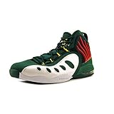 Nike Sonic Flight