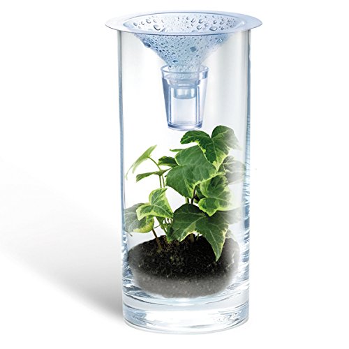 41JVN5fdrYL - 4M Clean Water Science - Climate Change, Global Warming, Lab - STEM Toys Educational Gift for Kids & Teens, Girls & Boys