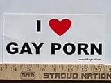 Cortan360 I Love Gay Porn Magnetic Bumper Sticker