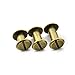 RuiLing 60 Sets 5mm Bronze Chicago Screws Assorted Kit Screw Posts Metal Accessories Nail Rivet Chicago Button for DIY Leather Decoration Bookbinding Slotted Flat Head Stud Screw (1/4