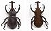 Hamee Giant Rhinoceros Beetle Plush Leather Insect Doll (11 inch)