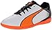 PUMA Adreno Indoor Jr Soccer Shoe