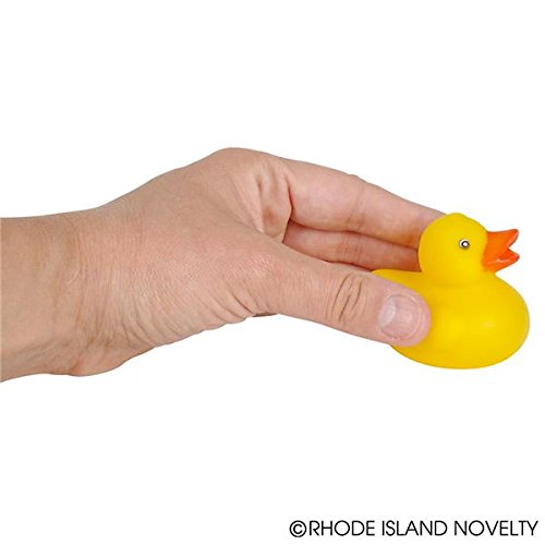 Lot of 50 Assorted Rubber Ducks [Toy]