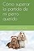 Cómo superar la partida de mi perro querido (Mascotas) (Spanish Edition) - Ana E. Contreras R.