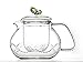 Tea Beyond Clear Glass teapot Rainbow Butterfly 24 oz/710ml Non drip Heat Resistant