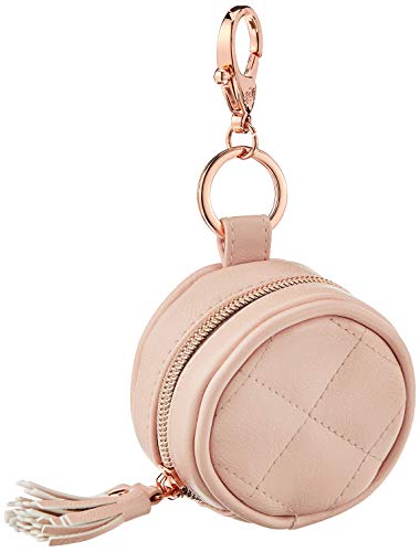 itzy ritzy pacifier case