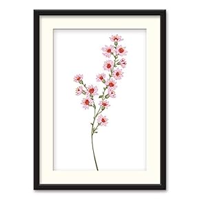 Black Framed Canvas Wall Art Nordic Style Plant Home Artwork Decoration for Living Room, Bedroom - 23x31 inches