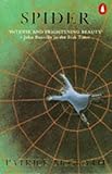 Front cover for the book Spider by Patrick McGrath