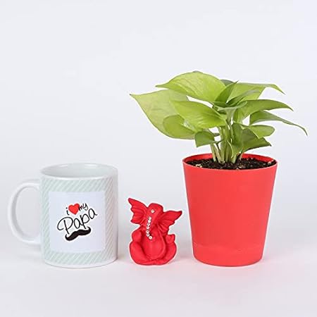 Ferns N Petals Money Plant In Red Plastic Self Watering Pot 4 x 4 Inches With I Love My Papa Printed Coffee Mug & Lord Ganesha Idol | Indoor Plant