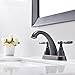 VESLA HOME Commercial Modern 2 Handle Oil Rubbed Bronze Vessel Vanity Bathroom Faucet,Bathroom sink Faucets