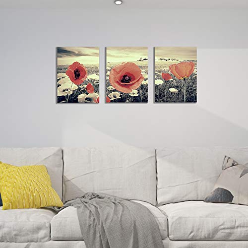 Canvas Wall Art for Living Room Red Poppy Decor Painting White and Black Background Floral Pictures Print Artwork 12x16inch x3Pieces