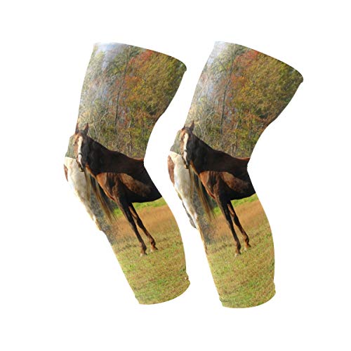 Chu warm Knee Sleeve Pin Horses and Autumn Full Leg Brace Compression Long Sleeves Pads for Meniscus Tear, Arthritis, Running, Workout, Basketball, Sports, Men and Women 1 Pair