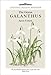 The Genus Galanthus: A Botanical Magazine Monograph by Aaron P. Davis, Royal Botanic Kew Gardens Staff