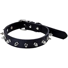 Amazon.com: gothic dog collar