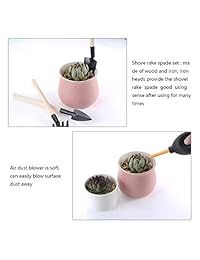 13 piezas Mini jardín herramientas de mano trasplantar herramientas suculentas herramientas en miniatura plantación jardinería juego de herramientas