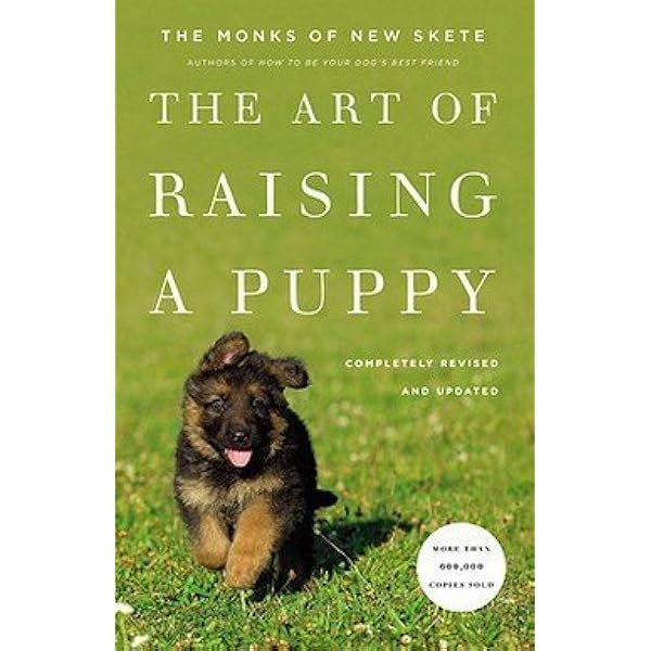 Effective Functional Progressions in Sport Rehabilitation 1 Pap