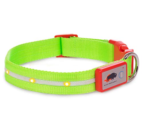 Blazin' Safety LED Dog Collar - USB Rechargeable with Water Resistant Flashing Light - Large Christmas
