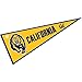 UC Berkeley Bears Pennant Full Size Felt