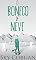 Livro O Boneco de Neve