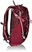 Osprey Packs Women's Skimmer 16 Hydration Pack, Plume Purple
