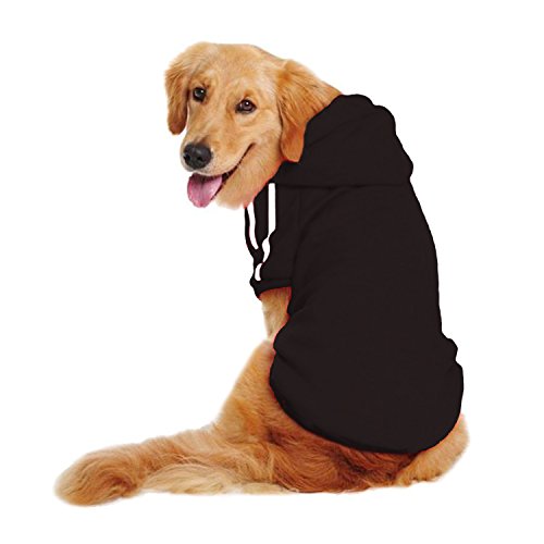 labrador dog sweater