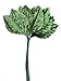 Green Satin Corsage and Boutonniere Wired Leaves - (144 Total Leaves)