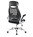 JUMEI Adjustable High Back Mesh Executive Desk Chair-Model Office Chair with Lumbar Support,Black