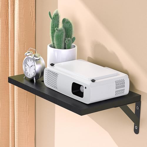 DAWASAPAT Mini Projector Shelf