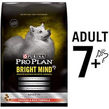 Amazon.com: Purina Pro Plan Senior Dry Dog Food, BRIGHT