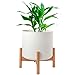 Bamboo Plant Stand | Potted Plant Rack for Indoors & Outdoors | Mid Century Modern Flower Pot Holder | Adjustable Width: 8-12