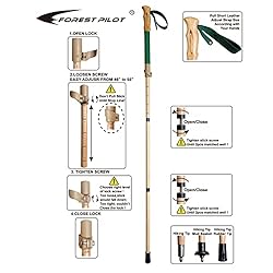 FOREST PILOT Trekking Poles- 1-pc Pack - Adjustable