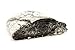 Zen Charcoal Activated Charcoal Powder with Scoop, 20 Ounces