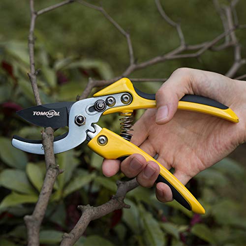 TOMORAL Professional SK-5 Steel Blade Anvil Pruning Shears(TM-PS-001), Cushion Shock Absorber Design, Ergonomically Design Handle. - Thumbnail 5