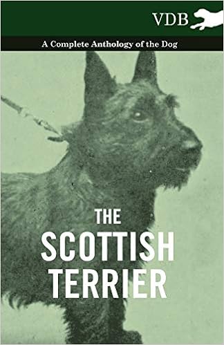 The Scottish Terrier - A Complete Anthology of the Dog �y�[�p�[�o�b�N - 2010/11/18