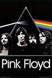Pink Floyd - Dark Side of the Moon Group Poster 24 x 36in with Poster Hanger