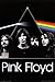 Pink Floyd - Dark Side of the Moon Group Poster 24 x 36in with Poster Hanger