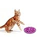 Patgoal Large Cats Catch Interactive Feeder Bowl Slow Feed Bloat Stop Pet Bowl (Purple)