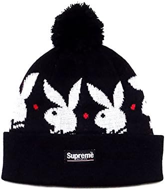 supreme beanie fw17