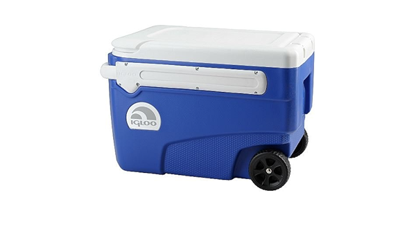 IGLOO Iglú Deslizamiento Contorno 36L Nevera portátil con ...
